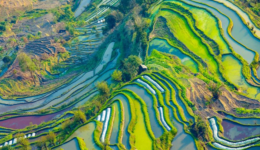 走进彭山县TVC拍摄：解锁本地化场景与创意镜头的完美融合